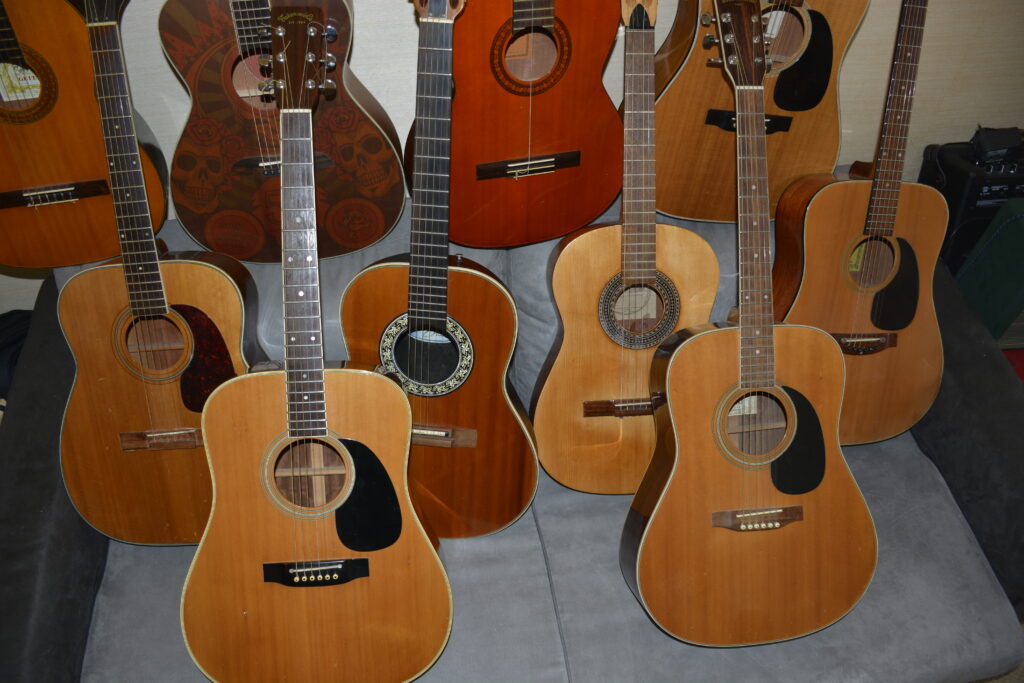 Acoustic Guitars Collection: Takamine, Ovation, Suzuki, Alvarez, Rokkomann, Kasuga, Hopf Guitars