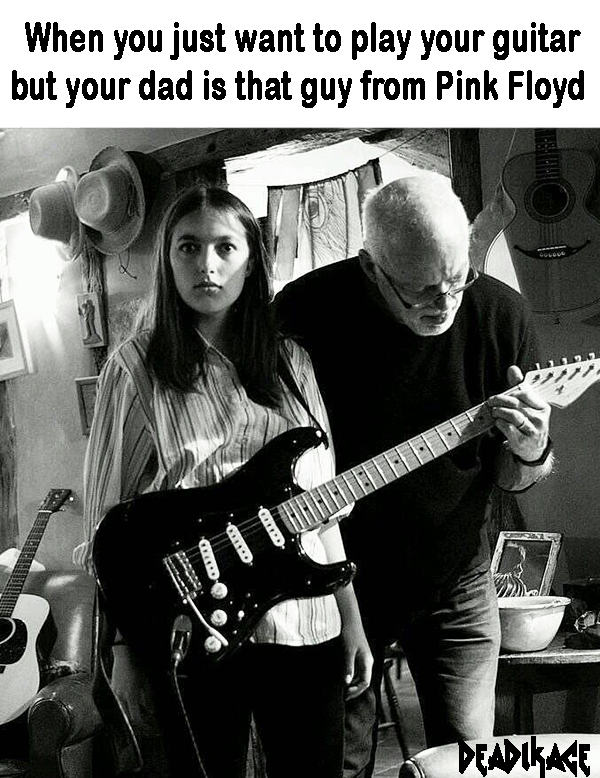 Pink Floyd Memes