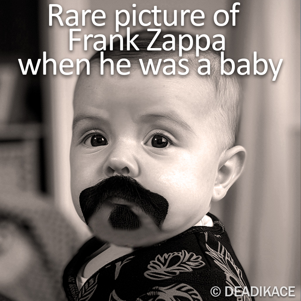 Frank Zappa Memes