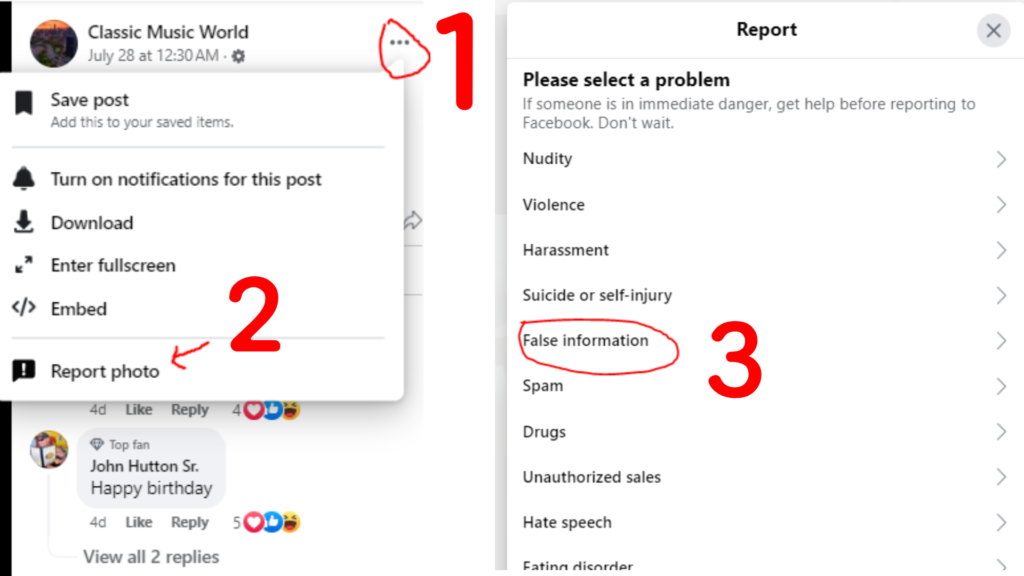 Report Fake Posts Facebook