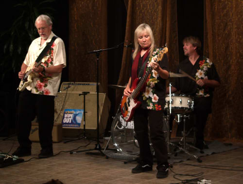 The Surfaris