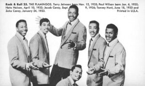 The Flamingos