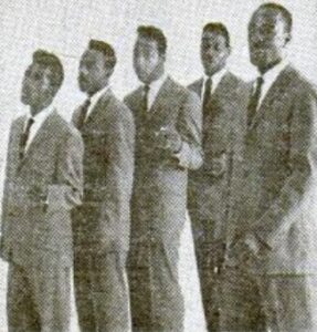 The Tams